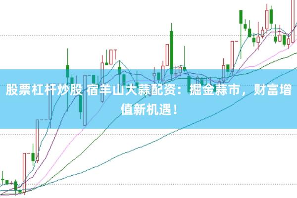 股票杠杆炒股 宿羊山大蒜配资：掘金蒜市，财富增值新机遇！