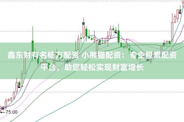 鑫东财有名杨方配资 小熊猫配资：专业股票配资平台，助您轻松实现财富增长