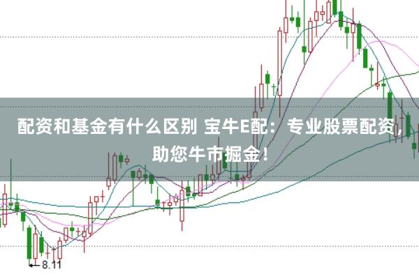 配资和基金有什么区别 宝牛E配：专业股票配资，助您牛市掘金！