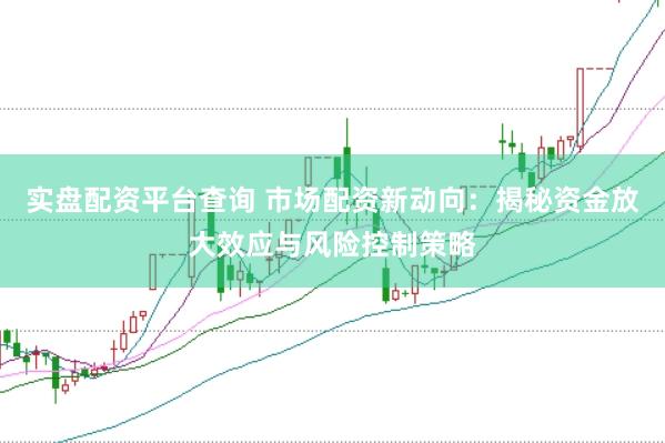 实盘配资平台查询 市场配资新动向：揭秘资金放大效应与风险控制策略