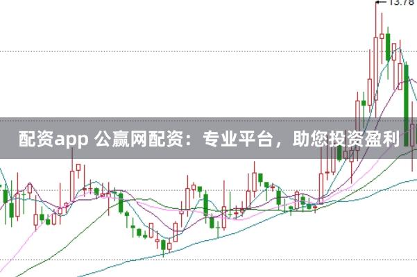 配资app 公赢网配资：专业平台，助您投资盈利