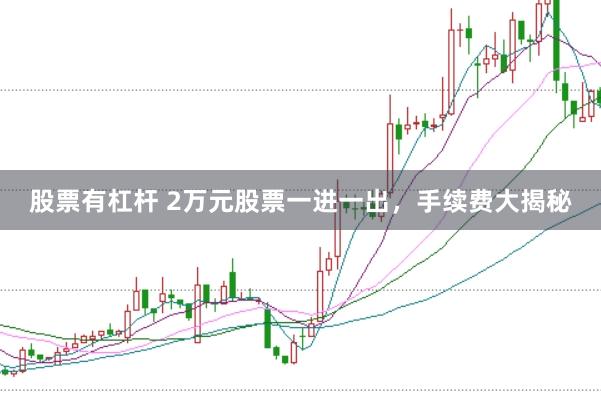 股票有杠杆 2万元股票一进一出，手续费大揭秘