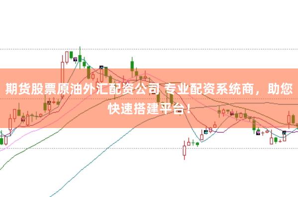 期货股票原油外汇配资公司 专业配资系统商，助您快速搭建平台！
