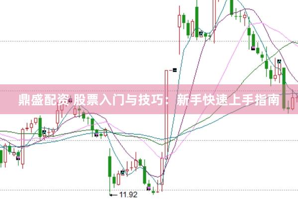 鼎盛配资 股票入门与技巧:新手快速上手指南