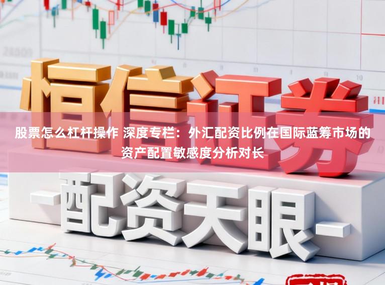 股票怎么杠杆操作 深度专栏：外汇配资比例在国际蓝筹市场的资产配置敏感度分析对长