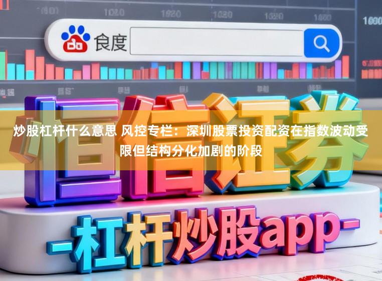 炒股杠杆什么意思 风控专栏：深圳股票投资配资在指数波动受限但结构分化加剧的阶段