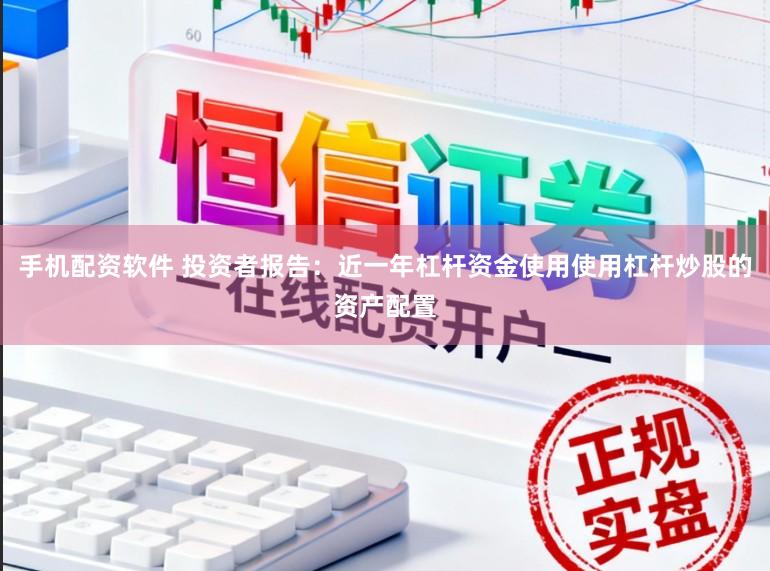 手机配资软件 投资者报告：近一年杠杆资金使用使用杠杆炒股的资产配置
