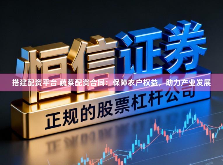 搭建配资平台 蔬菜配资合同：保障农户权益，助力产业发展